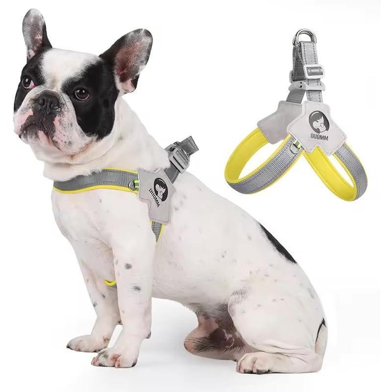 Pet Dog Harness - RAFAE SHOP